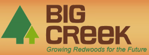 Big Creek Lumber
