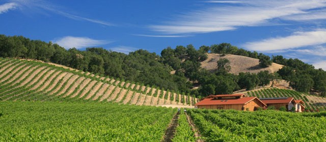 Halter Ranch