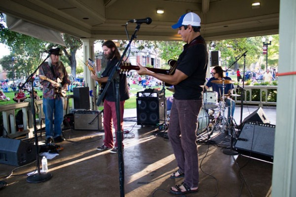 Concerts in the Park