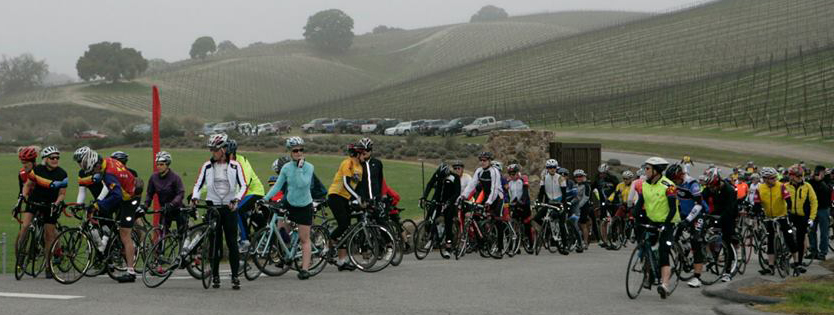 Launch Party, Tour of Paso, Castoro Cellars, Cancer Support Community