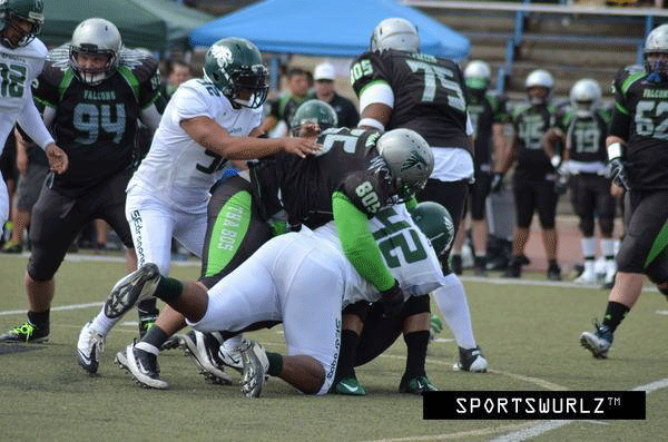 The 805 Falcons, a semi-pro football team that includes players from the North County, kicks off its 2015 season on Saturday.