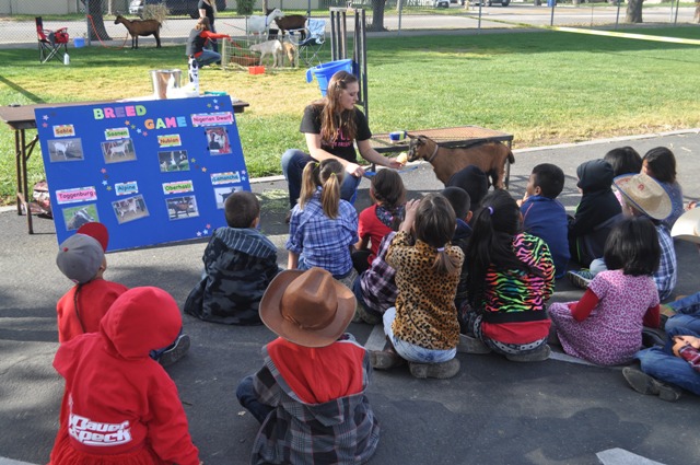 Miss California Midstate Fair, Taylor Lindquist, Nanette Carminati, Meagan Friberg