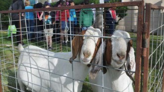 Miller Roth Ranch, Carly Roth,