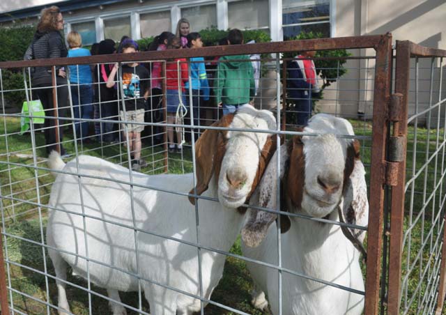 Miller Roth Ranch, Carly Roth,