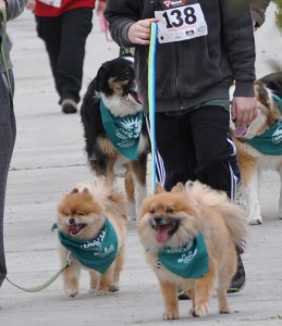 Dog Jog 2