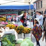 things to do in Paso Robles, CA