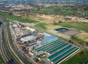 Aerial photo of the facilities, with the new ponds located behind the brewery. Photo courtesy of Alison and Matt Brynildson.