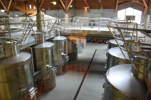 Visible from the lounge through floor to ceiling windows is the multi-level winery which utilizes gravity flow to gently get fruit from de-stemmer to tank.