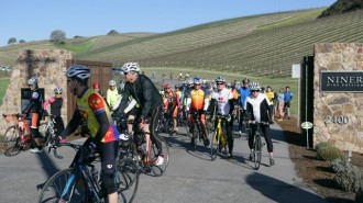 Tour of Paso, The Cancer Support Community, Niner Estates
