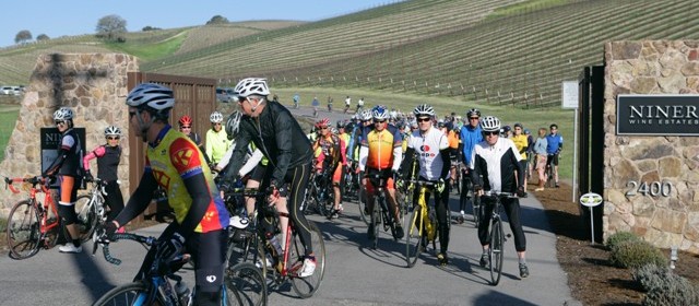 Tour of Paso, The Cancer Support Community, Niner Estates