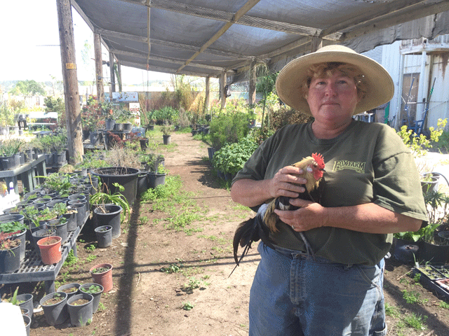 The Tree Man nursery Paso Robles