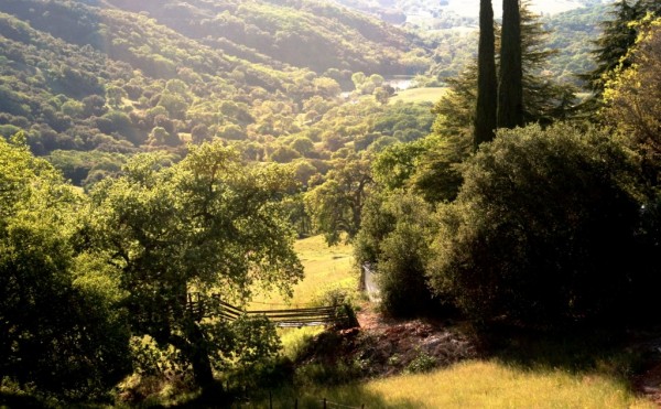 View from Adelaida road