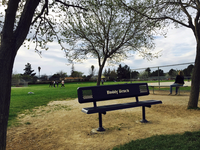 The Buddy Bench at Winifred Pifer will be located among three trees, near the playground.