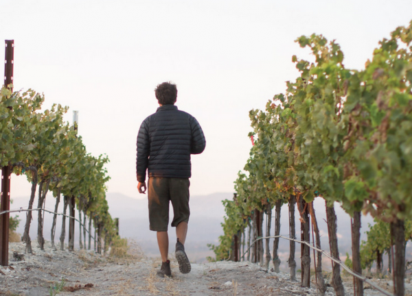 Aaron-wines-600x432
