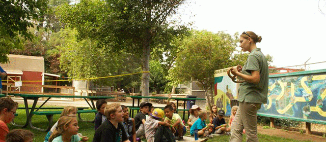 summer camps and activities for kids