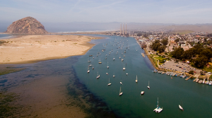 Morro Bay Estuary