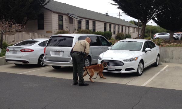 Photos taken during the Sheriff's Office K9 narcotics demonstration.