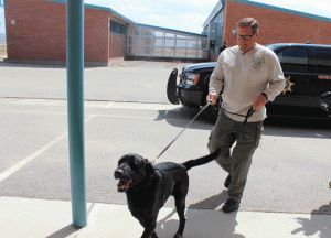 K9 training Paso Robles