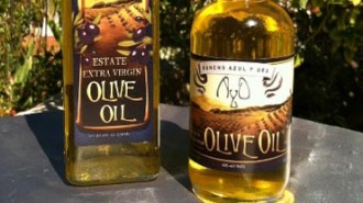 olive oil tasting