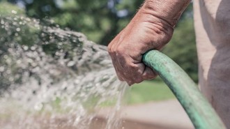 Watering restrictions not required this summer in Paso Robles