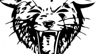 bearcat logo