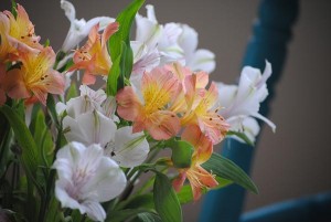 floral arrangements