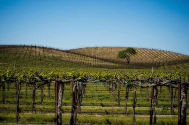 paso most romatic city