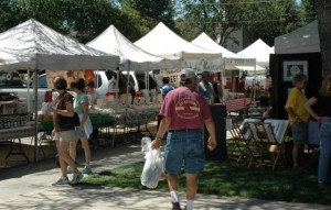 Day in the Shade, Templeton, Cancer Support Community