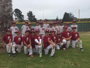Baseball youth paso robles