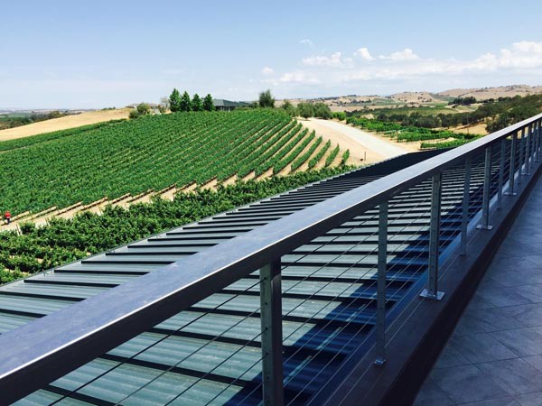 Burbank ranch vineyards