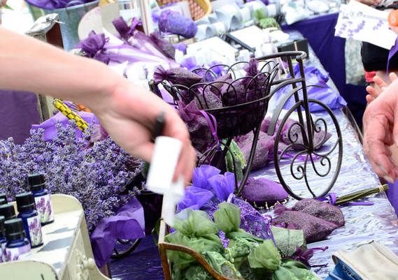 Lavender festival paso robles