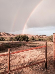 Rainbow