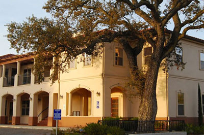 watering oaks