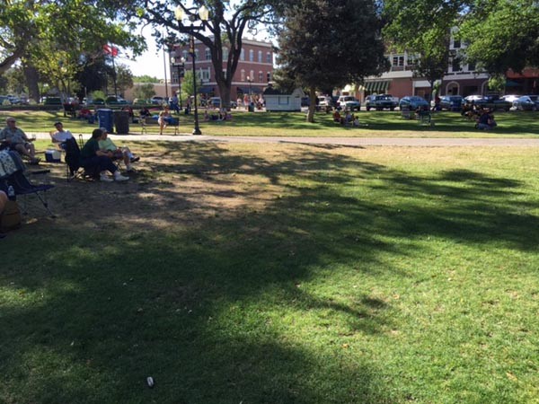 Concerts in the park attendance 2