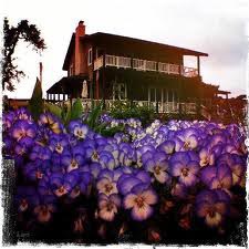 The Honey Oak House. Courtesy photo.