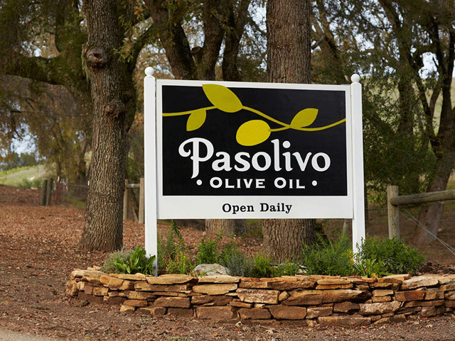 Pasolivo2