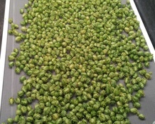 Pasohops hops