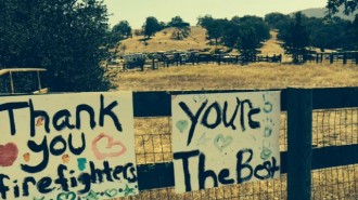 thank you fire fighters