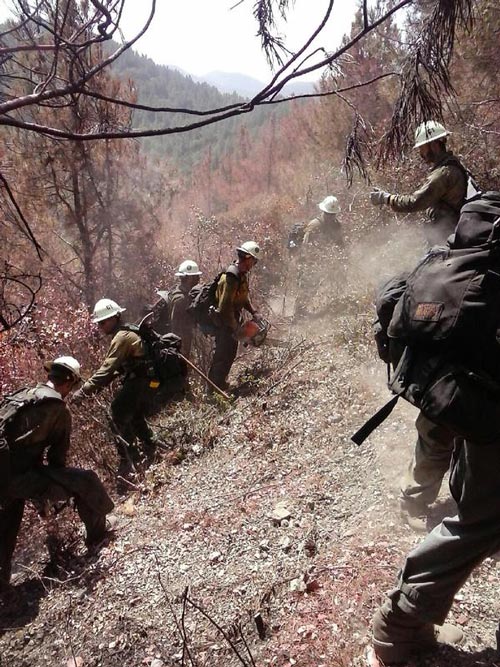 A crew of firefighters working the Cuesta Fire on Saturday. Photo by US Forest Service.