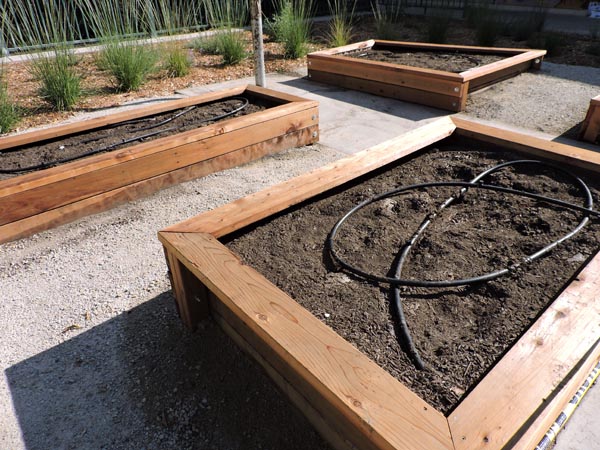 Garden beds georgia brown