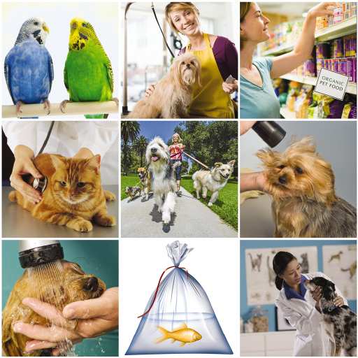 Best veterinarian in Paso Robles