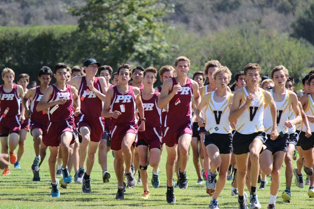 PRHS cross country, Bearcats, Lori Chamberlain, Josh Potter, Trad Berti, Gannon Chamberlain, Daniel Cox, and Luis Armendariz