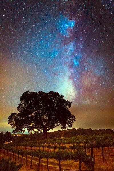 The midnight sky over midnight cellars. Photo from midnightcellars.com.