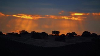 Paso Robles Rainfall