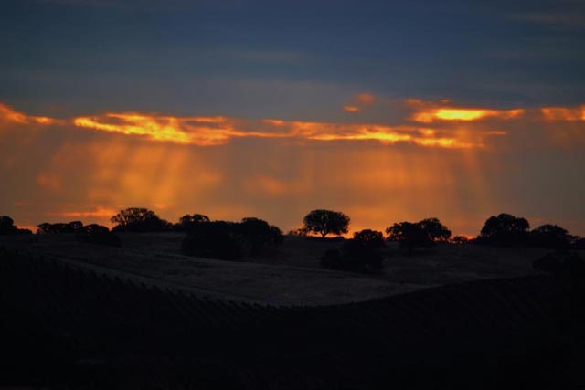 Paso Robles Rainfall