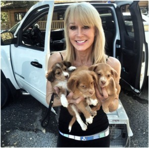 Second Chance at Love Humane Society, Cheri Lucas, WeHelpGive, save sick rescue pups and dogs