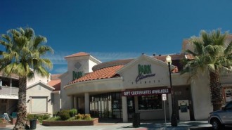 Park Cinemas opens