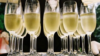 best sparkling wines in paso robles, ca