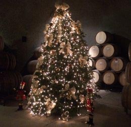 Christmas Tree - Eberle Caves