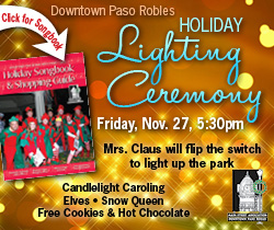 PR-Main-St-ODP-PRDN-Lighting